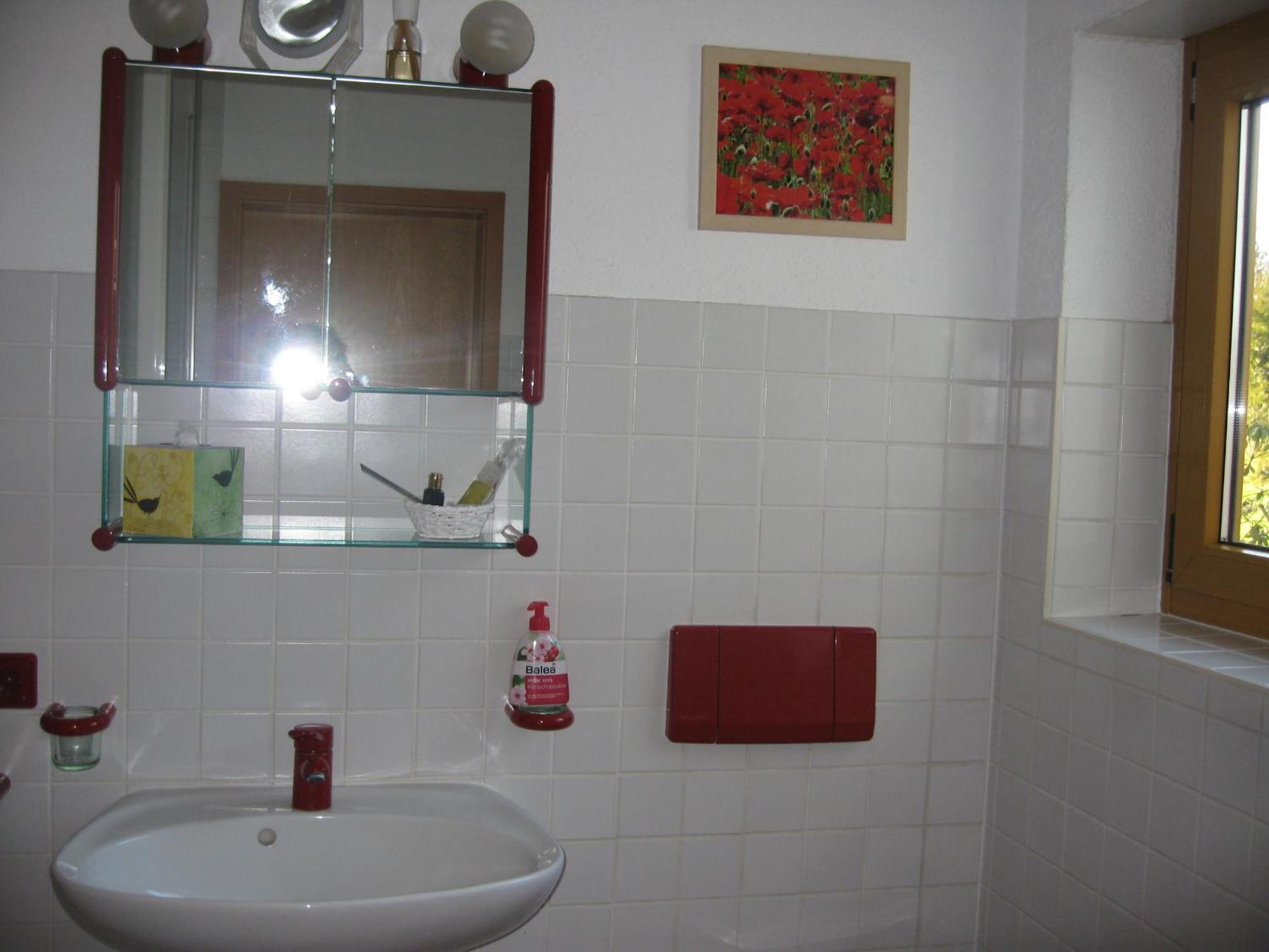Apartament Unterm Nussbaeumle Adelhausen Zewnętrze zdjęcie